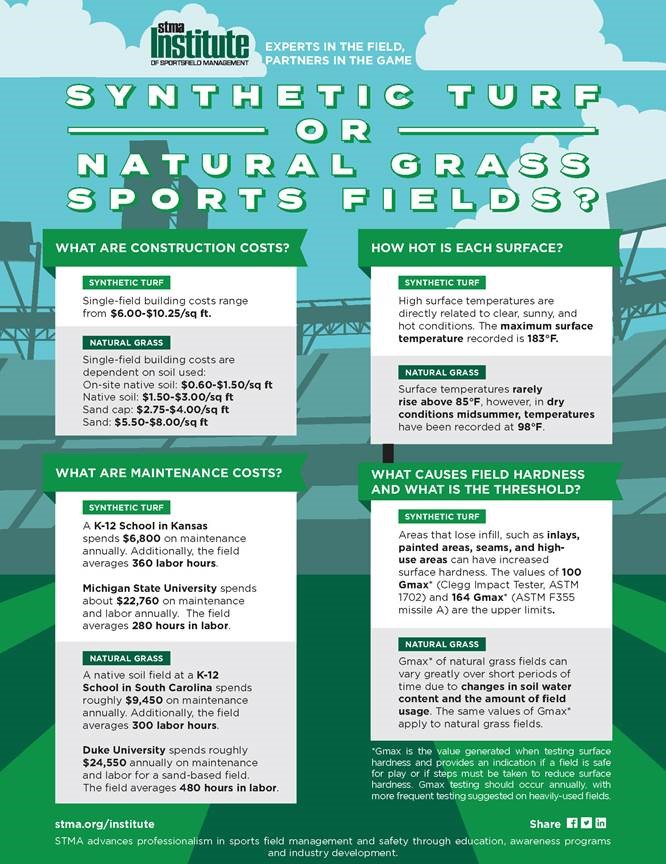 Natural Grass vs Synthetic Turf Study Report