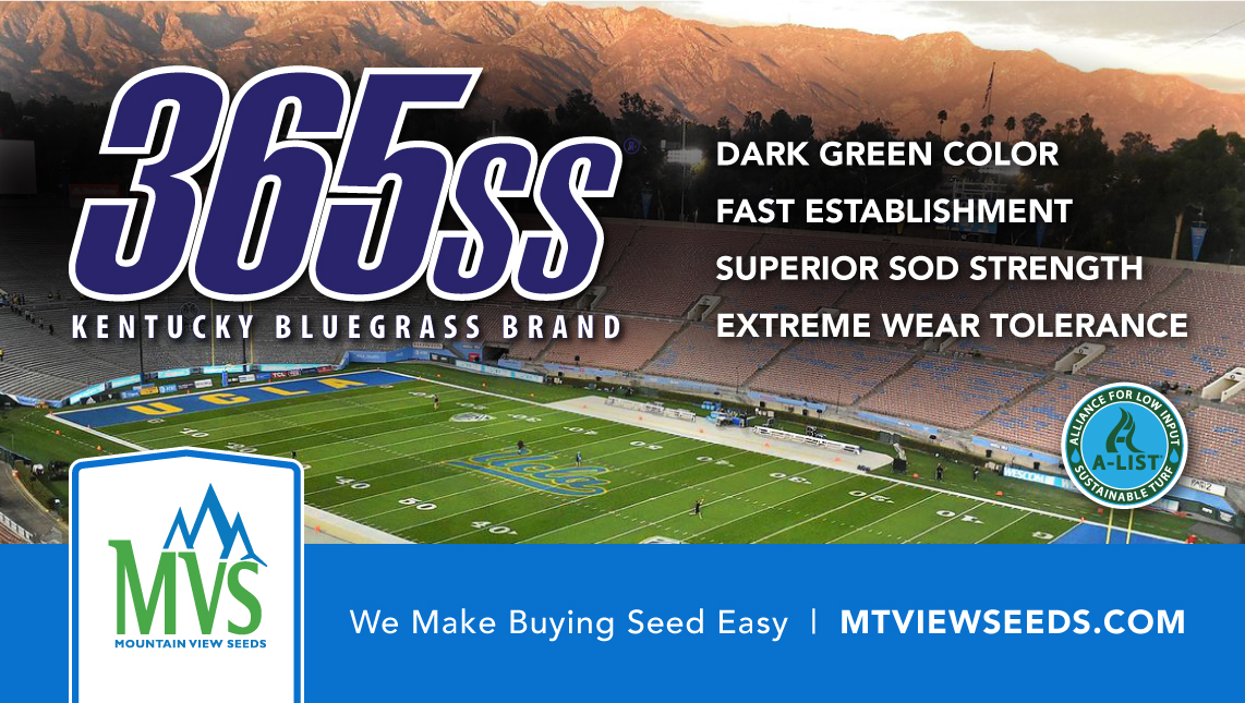 Premium Sports Turf Grass Seed
